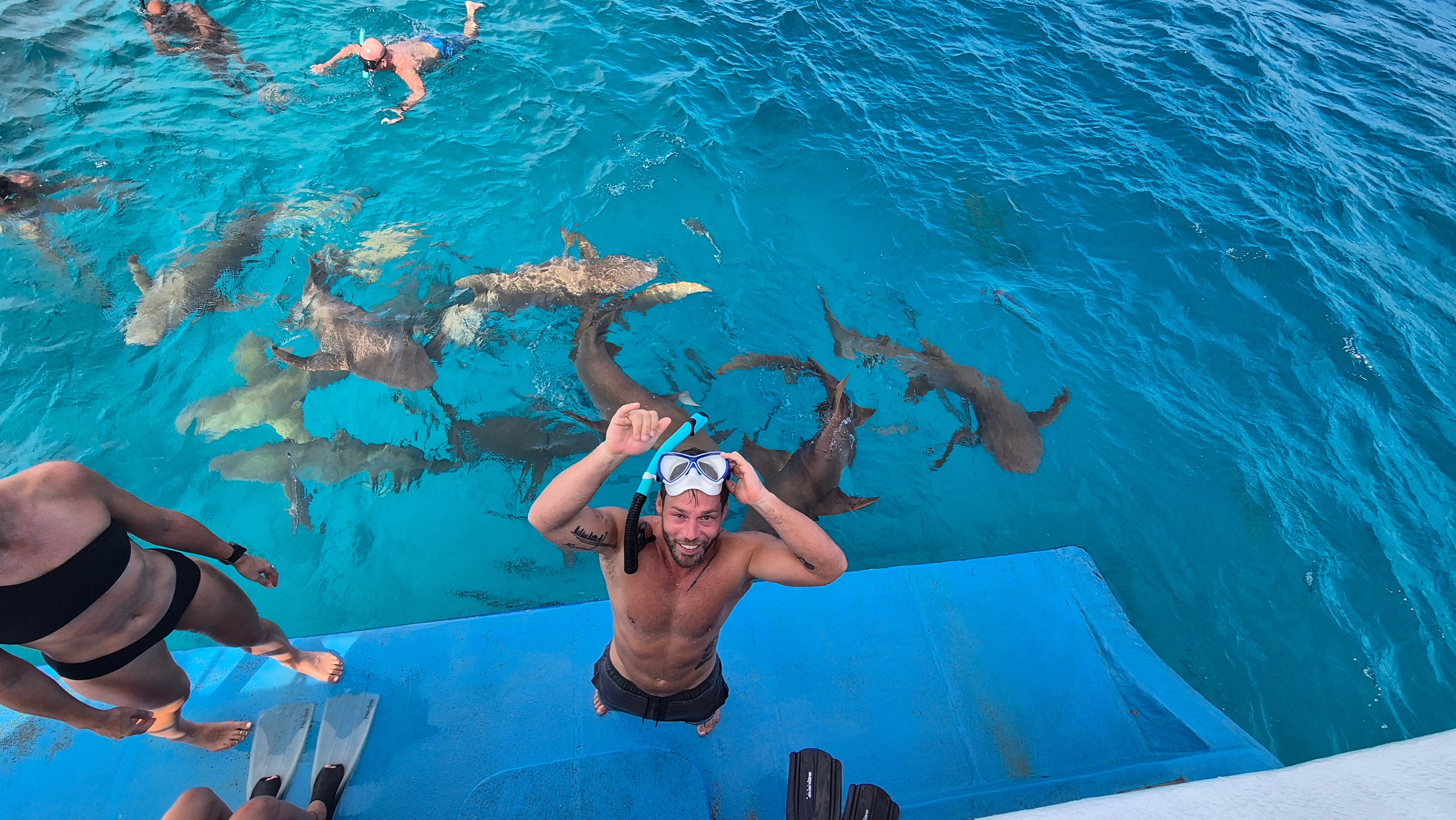 Snorkeling with sharks, Maldives Boat Escape